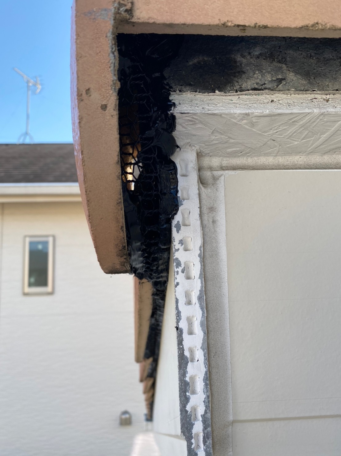 静岡県藤枝市コウモリ駆除実績 害獣プロテクトブログ