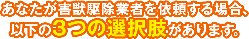 あなたが害獣駆除業者を依頼する場合、以下の3つの選択肢があります。