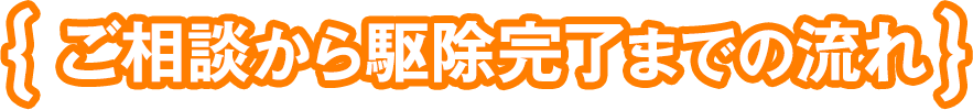 ご相談から駆除完了までの流れ