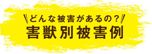 どんな被害があるの?害獣別被害例