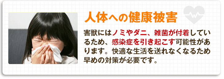 【人体への健康被害】害獣にはノミやダニ、雑菌が付着しているため、感染症を引き起こす可能性があります。快適な生活を送れなくなるため早めの対策が必要です。