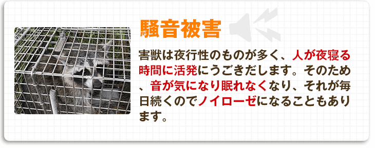 【騒音被害】害獣は夜行性のものが多く、人が夜寝る時間に活発にうごきだします。そのため、音が気になり眠れなくなり、それが毎日続くのでノイローゼになることもあります。