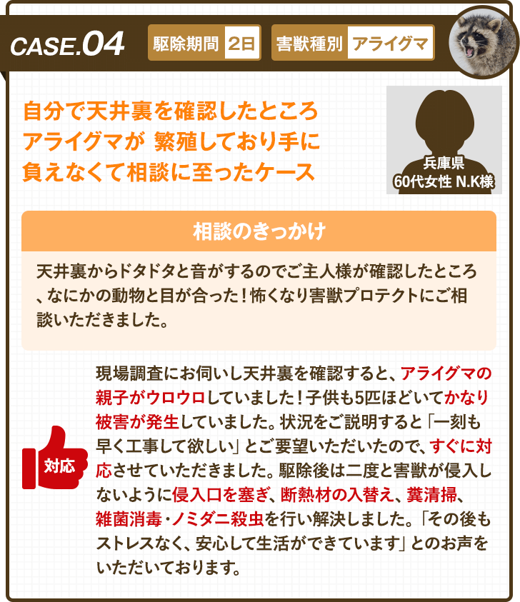 ケース4：自分で天井裏を確認したところアライグマが繁殖しており手に負えなくて相談に至ったケース
				地域：兵庫県
				年代：60代 女性
				イニシャル：N.K

				・駆除期間2日
				・害獣種別アライグマ

				＜相談のきっかけ＞
				天井裏からドタドタと音がするのでご主人様が確認したところ、なにかの動物と目が合った！怖くなり害獣プロテクトにご相談いただきました。

				＜害獣プロテクトの対応＞
				現場調査にお伺いし天井裏を確認すると、アライグマの親子がウロウロしていました！子供も5匹ほどいてかなり被害が発生していました。状況をご説明すると「一刻も早く工事して欲しい」とご要望いただいたので、すぐに対応させていただきました。駆除後は二度と害獣が侵入しないように侵入口を塞いぎ、断熱材の入替え、糞清掃、雑菌消毒・ノミダニ殺虫を行い解決しました。「その後もストレスなく、安心して生活ができています」とのお声をいただいております。
