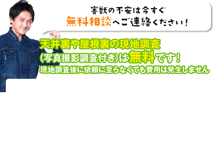 害獣の不安は今すぐ無料相談へご連絡ください!天井裏や屋根裏の現地調査(写真撮影調査付き)は無料です!害獣でお悩みならまずはお気軽にご相談ください。