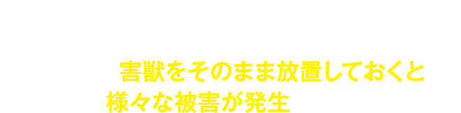 アライグマと聞くと可愛らしいイメージもあるため、駆除をためらう方もいらっしゃいます。しかし、害獣をそのまま放置しておくと様々な被害が発生します。