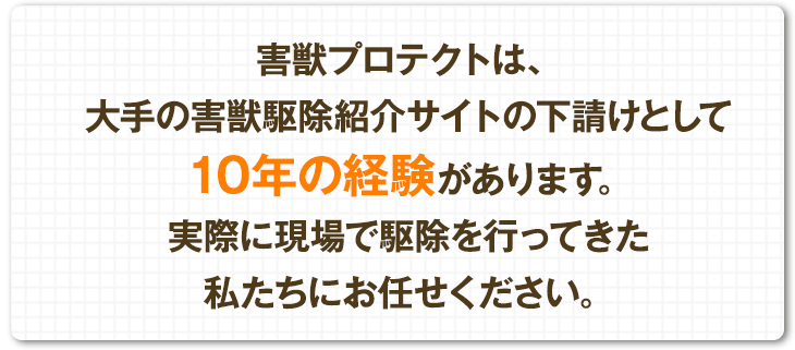 害獣プロテクトは、大手の害獣駆除紹介サイトの下請けとして10年の経験があります。実際に現場で駆除を行ってきた私たちにお任せください。