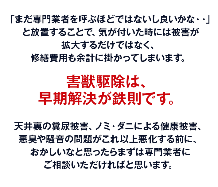 「まだ専門業者を呼ぶほどではないし良いかな・・」と放置することで、気が付いた時には被害が拡大するだけではなく、修繕費用も余計に掛かってしまいます。害獣駆除は、早期解決が鉄則です。天井裏の糞尿被害、ノミ・ダニによる健康被害、悪臭や騒音の問題がこれ以上悪化する前に、おかしいなと思ったらまずは専門業者にご相談いただければと思います。